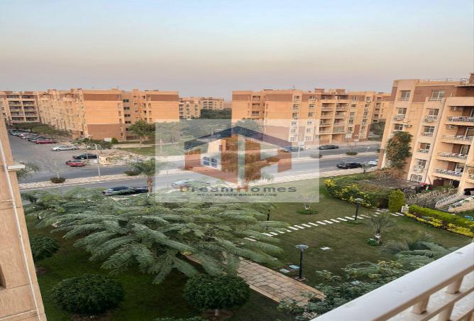 7987596 - صورة العقار 2