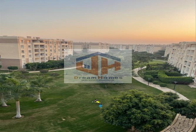 7987596 - الصورة الرئيسية للعقار