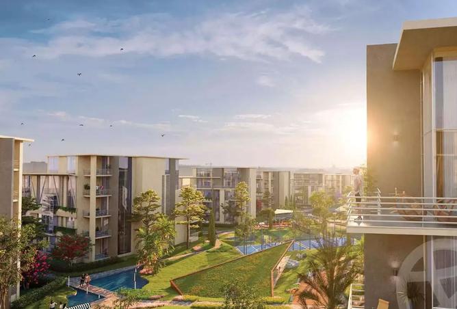 7987694 - Property Image 2