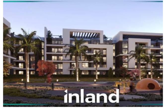 7987960 - Property Image 3