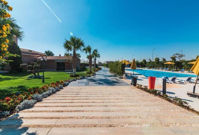 7988159 - صورة العقار 3