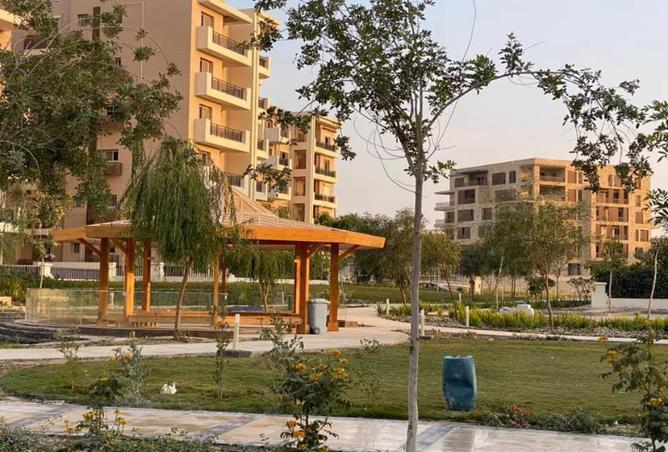 7988224 - صورة العقار 3