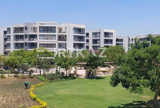 8036331 - صورة العقار 2