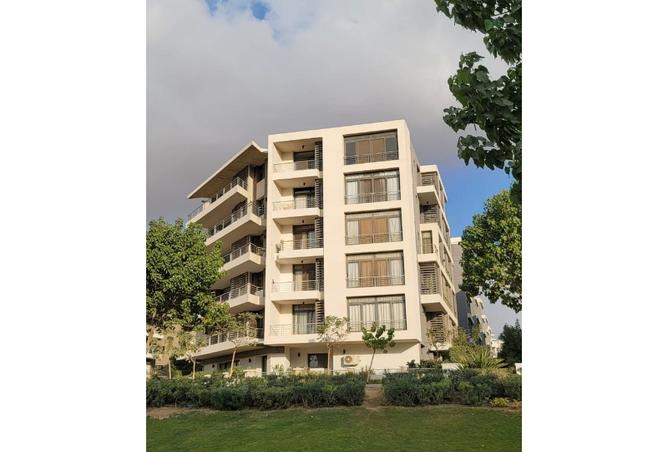 7988413 - صورة العقار 2