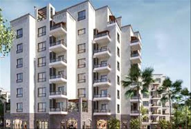 8039605 - Property Image 3