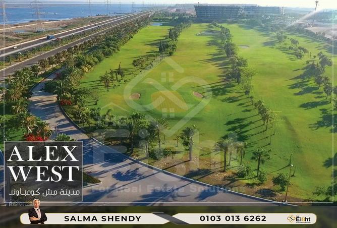 7990075 - Property Image 2