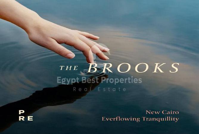 8469788 - Property Image 2