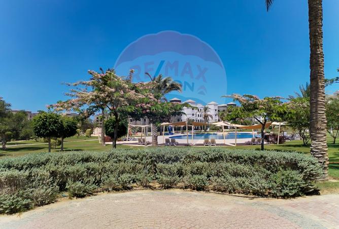 7991459 - Property Image 3