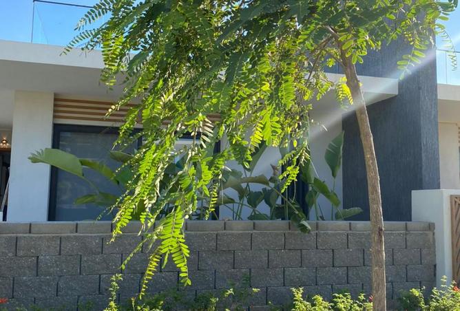 7992037 - Property Image 3