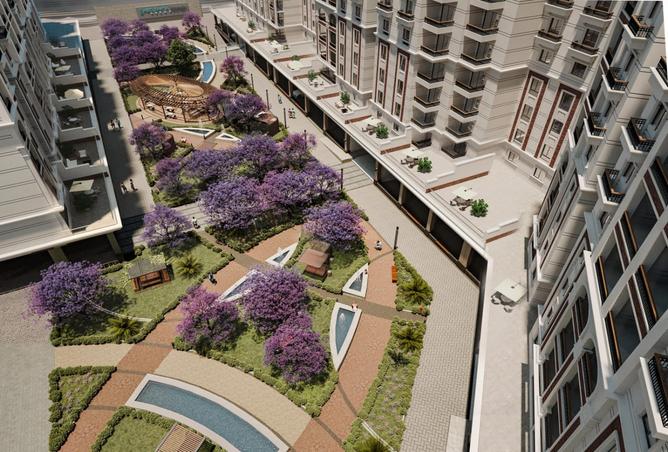 7991794 - Property Image 2