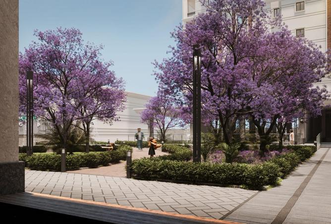 7991794 - Property Image 3