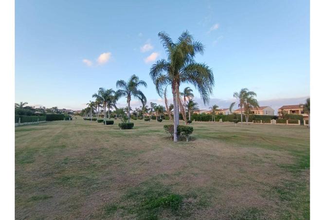 64382938 - صورة العقار 3