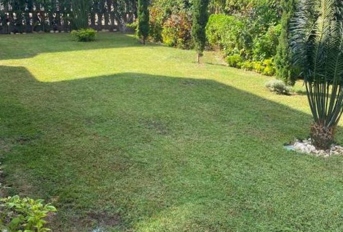 7992994 - صورة العقار 2