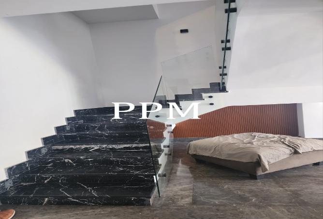 7994184 - صورة العقار 3