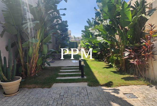 7994184 - صورة العقار 2