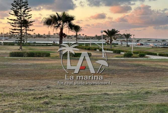 7994983 - الصورة الرئيسية للعقار