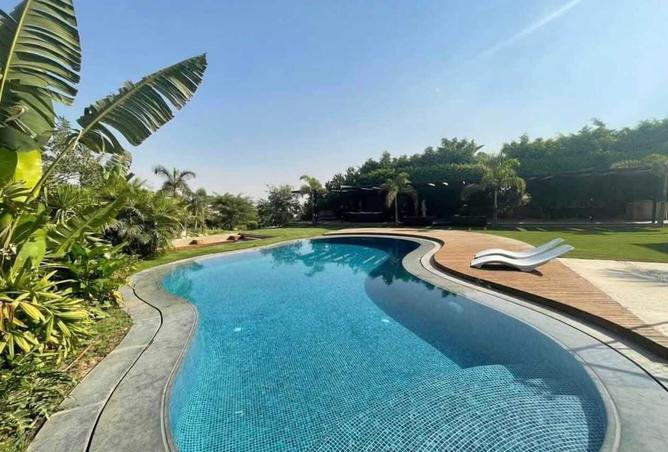 7995634 - صورة العقار 2