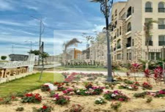 8355629 - Property Image 3