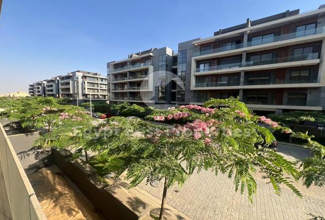 61204908 - صورة العقار 2