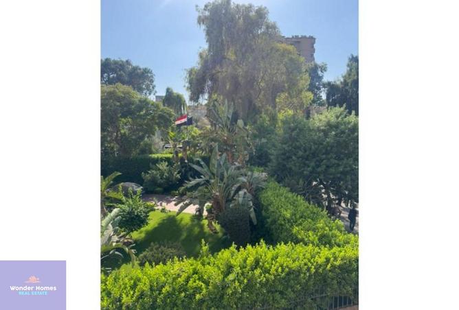 7995828 - صورة العقار 2