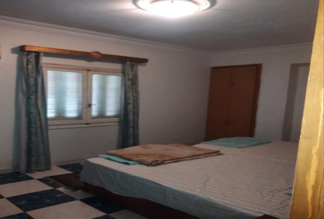 7995851 - Property Image 3