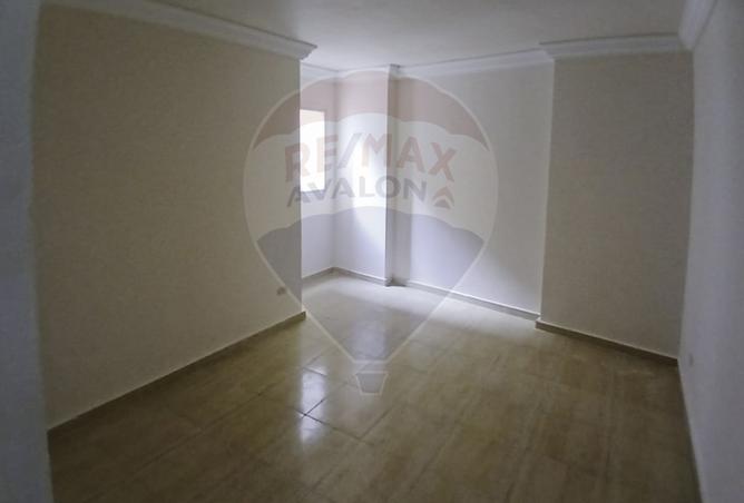 55756441 - Property Image 3