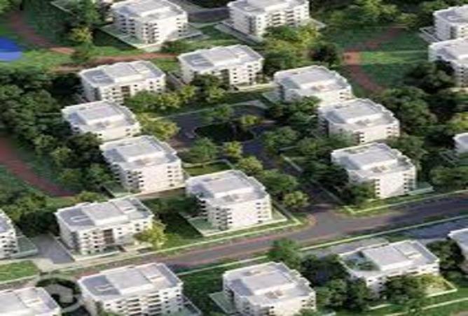 64640332 - صورة العقار 3