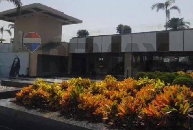 8047825 - صورة العقار 3