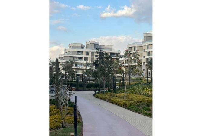 8303959 - الصورة الرئيسية للعقار