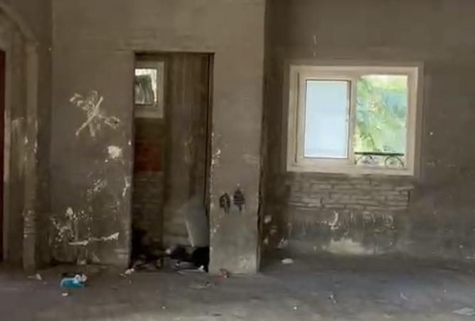 7998992 - الصورة الرئيسية للعقار