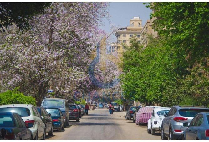 7999984 - صورة العقار 3