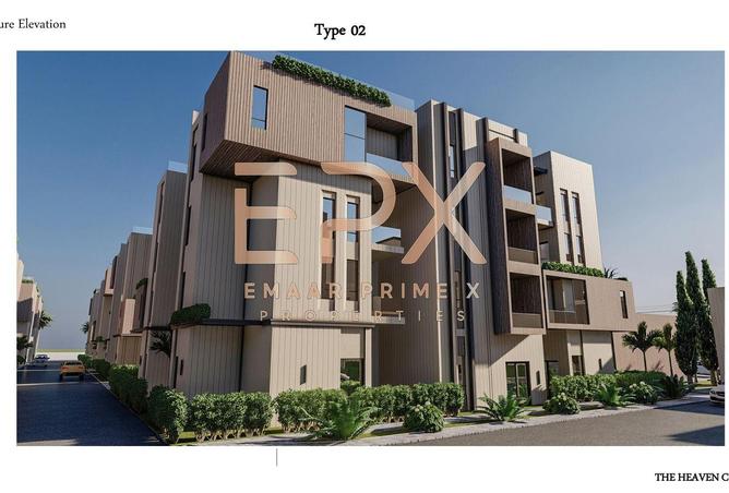 8001747 - صورة العقار 3