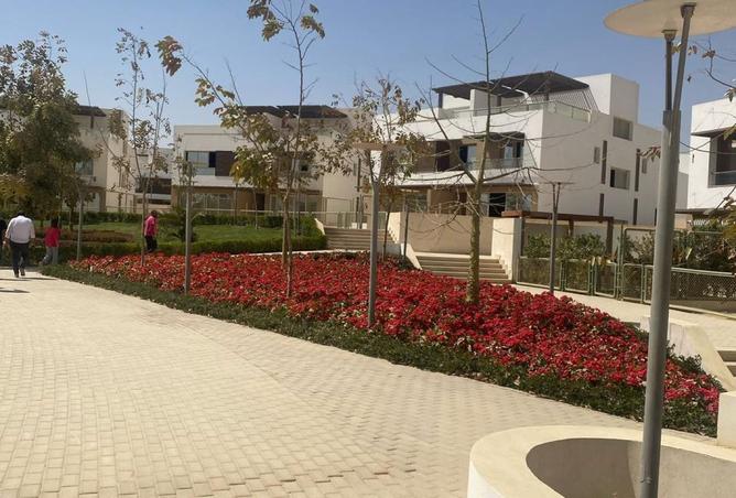 8001454 - صورة العقار 3