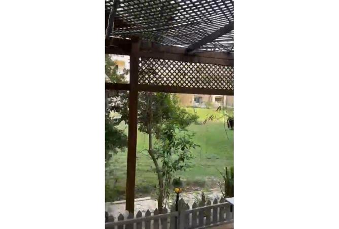 8002148 - صورة العقار 3