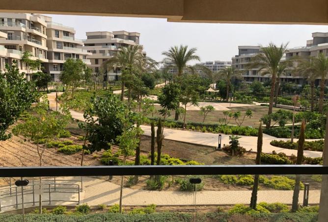 8589441 - Property Image 3