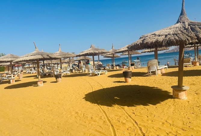 8270070 - Property Image 2