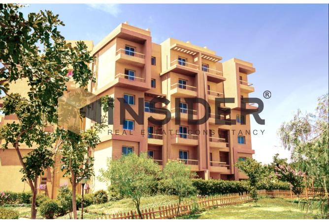 8003535 - Property Image 3