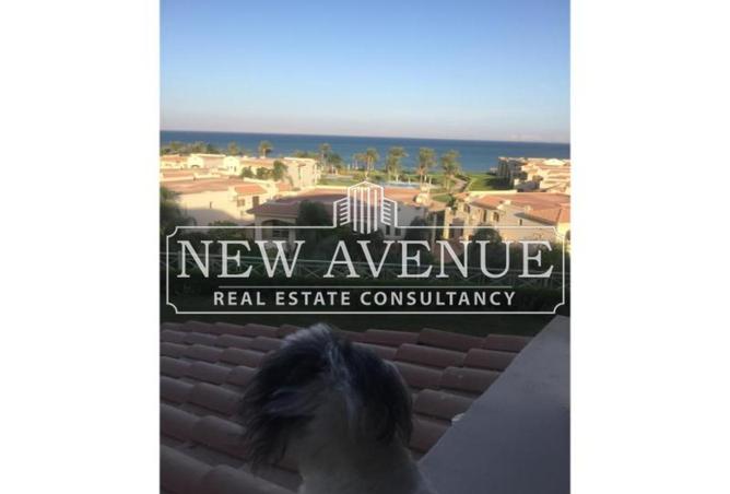 8342727 - Property Image 3