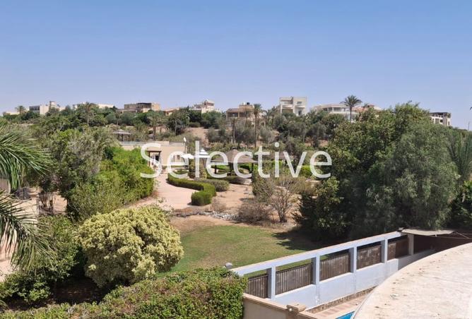 8268898 - Property Image 3