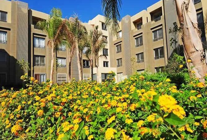 67223042 - Property Image 2