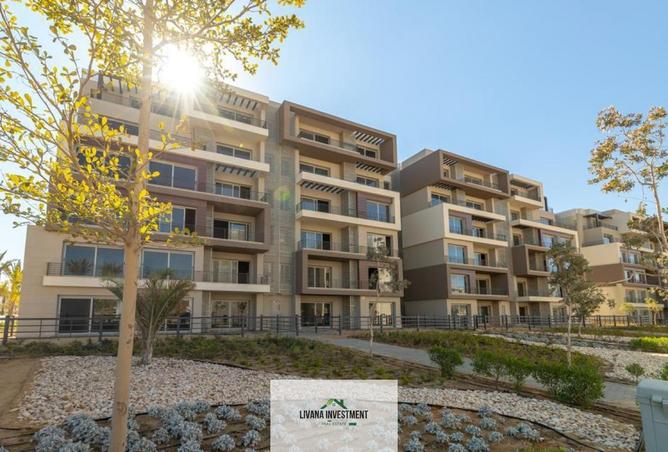 8005996 - صورة العقار 2