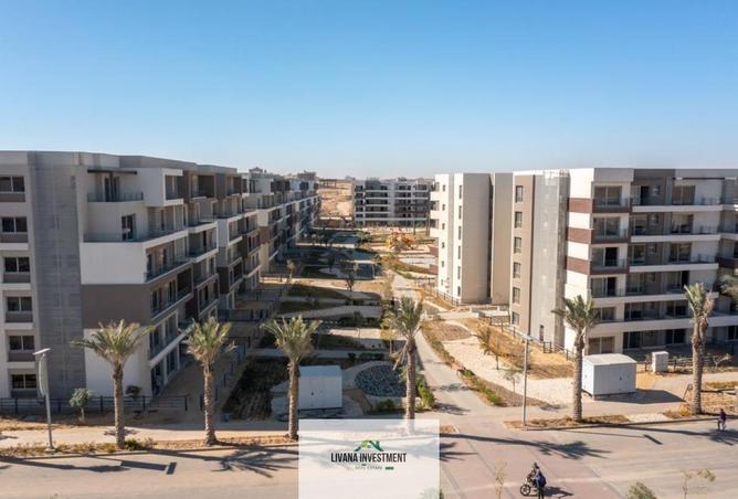 8005996 - صورة العقار 3