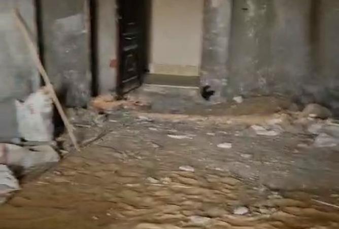 8004893 - صورة العقار 3