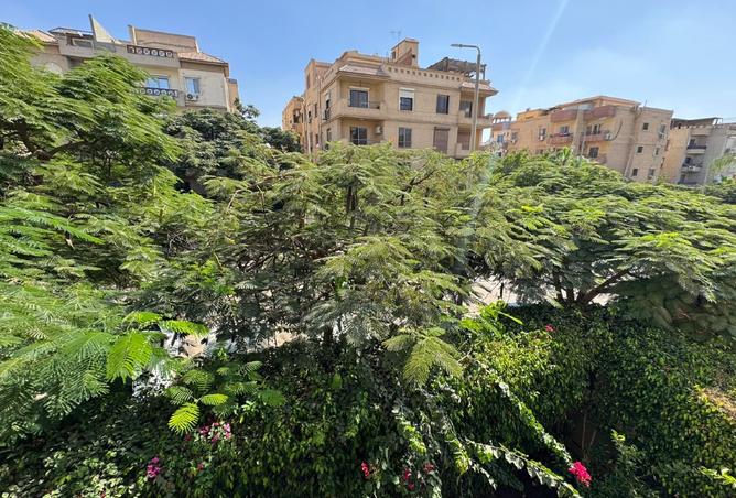 8005146 - Property Image 3