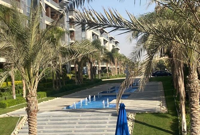 8005808 - صورة العقار 3