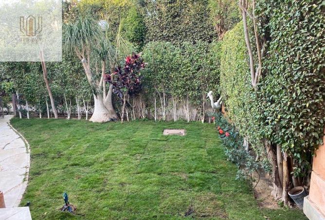 8010896 - صورة العقار 2