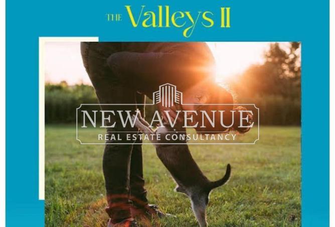 8391996 - صورة العقار 3