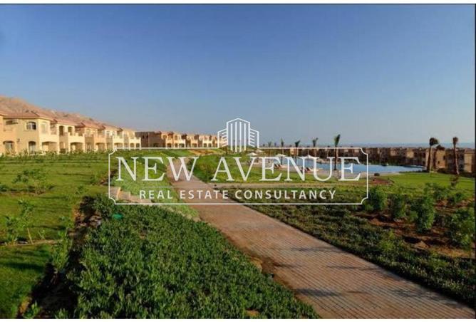 8326303 - Property Image 3