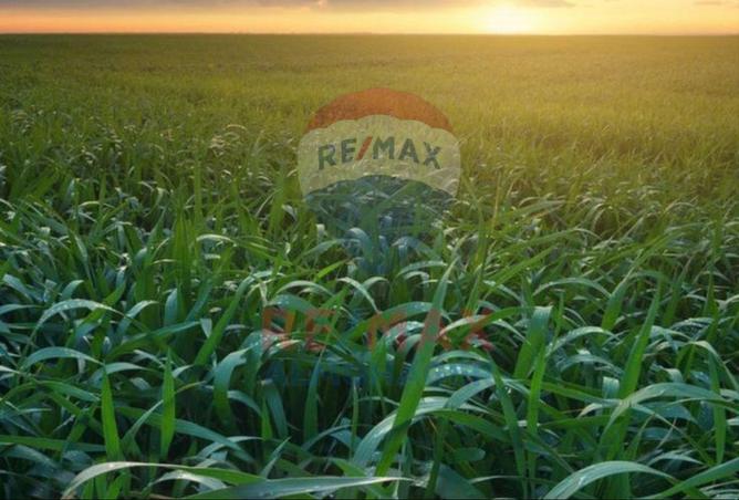 8008709 - صورة العقار 3