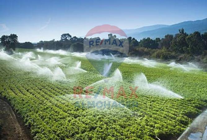 8008709 - صورة العقار 2